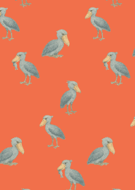 I am a shoebill2 on red & yellow