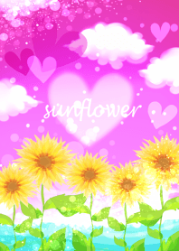 Sunflower blooming in happy pink 2