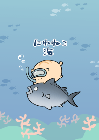niwaneko sea