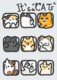 it's a cat
