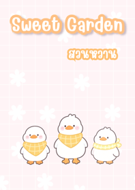 พอชิ (ชมพู)