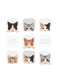 CATS - Mixed breed cat 01 - WHITE/GRAY