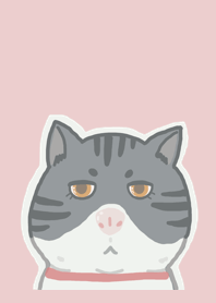 My fat cat 3