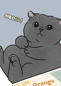 neko single21 / slate blue