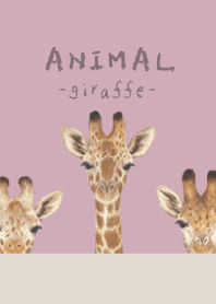 ANIMAL - Giraffe - DUSTY ROSE PINK