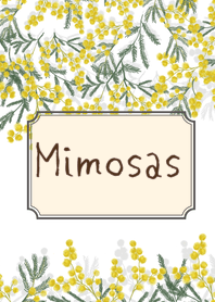 Happy spring mimosas