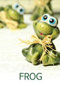 green frog_01