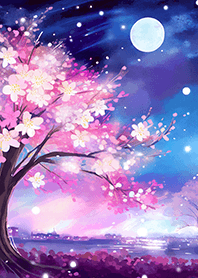 Beautiful night cherry blossoms#531