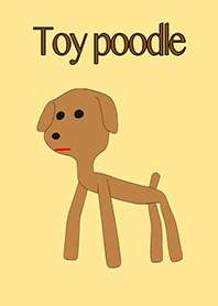 Toy poodle (Most popular dogs)