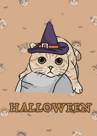 meow's halloween / burly wood