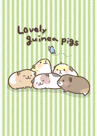 Lovely guinea pigs in the flower fields
