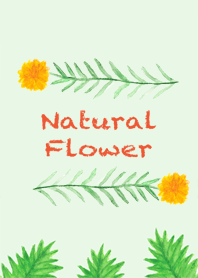 Natural Flower*