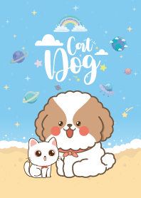 ทาสหมาแมว ชายหาด คิ้วตี้