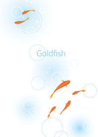 涼し気な金魚