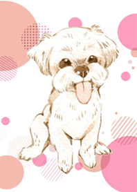 Maltese by Ystudio