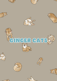 gingercats3 / khaki