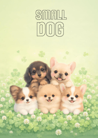 Kawaii Small Dog  In Clover Land