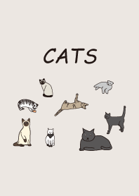 real cat theme
