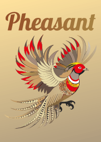 Golden Pheasant.