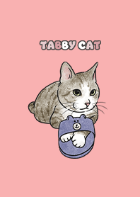 tabbycat6 / coral