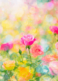 Beautiful rose flower(R5796)