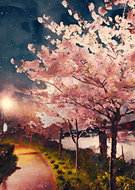 Beautiful night cherry blossoms#2499