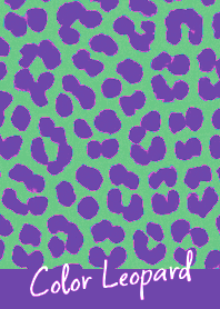 COLOR LEOPARD THEME -96