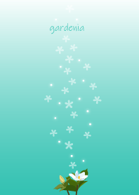 March's birth flower,gardenia.