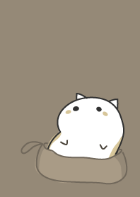 cat staring - 14