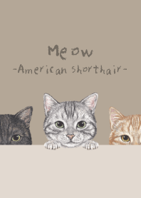 Meow - American Shorthair - KHAKI