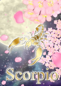 Scorpion cherry blossoms 2024