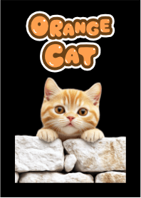 招財橙貓2（黑底）