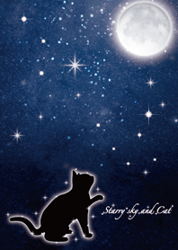 Starry sky and Cat