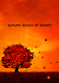 autumn leaves at sunset