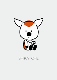 ベイビーシカッチェ
