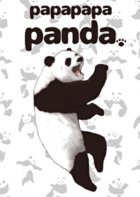 パパパパぱんだ