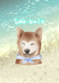 Sea-ba! 海と柴犬の夏