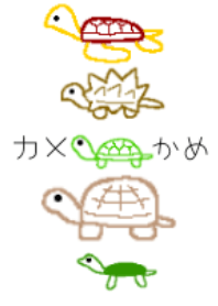 カメたち