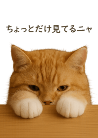 Peeking Kitty (White)#2