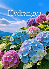 "Hydrangea vol.3" theme