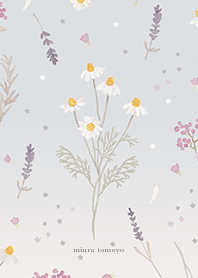 Madoromi no Chamomile tea