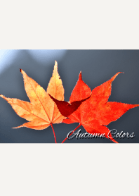 --- Autumn Colors --- 15