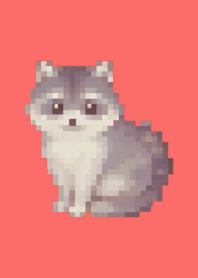 Raccoon Pixel Art Theme  Red 01