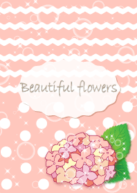 Beautiful flowers (hydrangea) pink