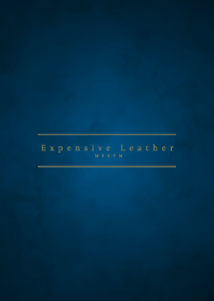 Expensive Leather 4