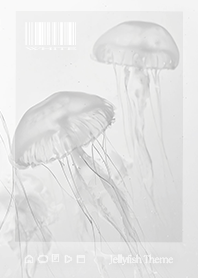 Jellyfish Theme  - 006 WH STIC