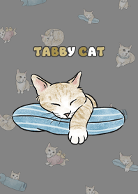 creamtabby2 / dark grey .jp