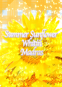 夏のひまわりホワイティンマドラス