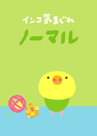Budgie Green Renewal