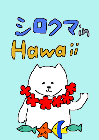 aloha white bear